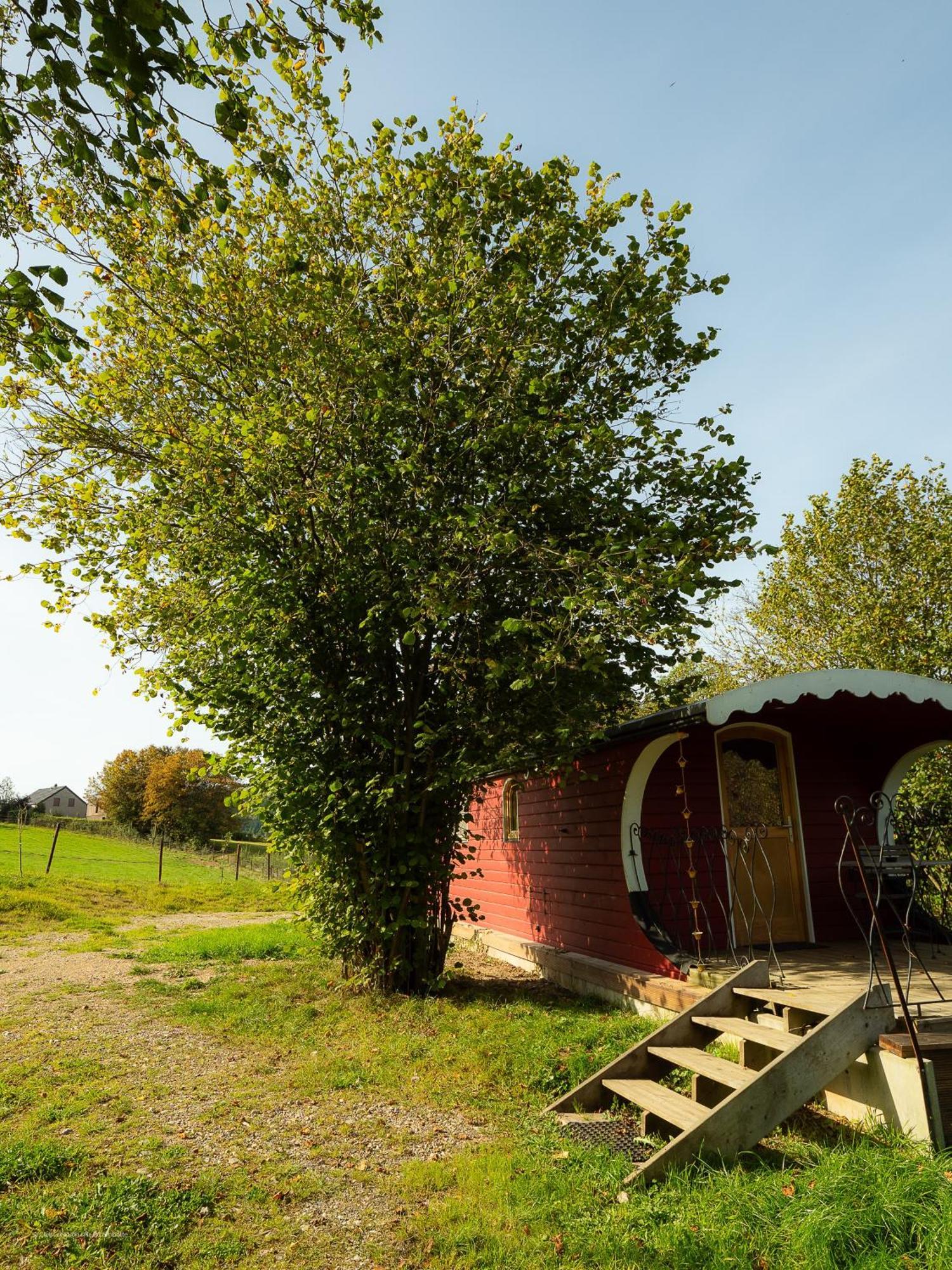La Tiny House De La Bergerie Villa Lierneux Ngoại thất bức ảnh